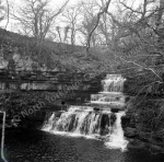 Cotter Foss